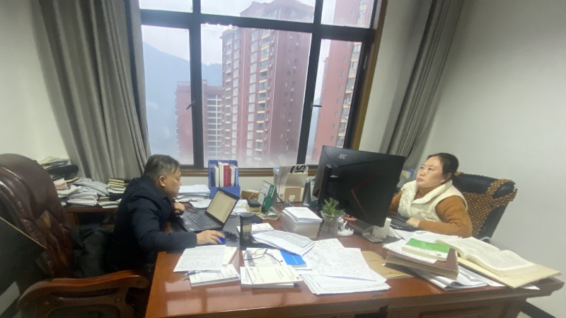 2.28设计集团董事长聂海勇同志带领水利设计部设计人员昼夜突击巴东县沿渡溪水库项目可行性研究设计工作