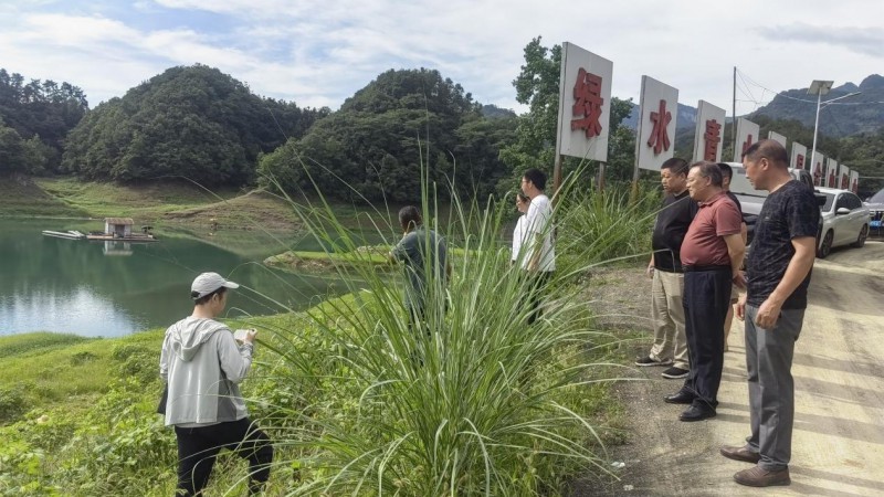 7.5全过程1