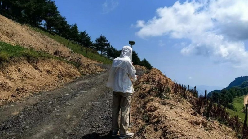云上旺角