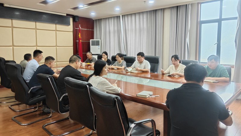 全过程例会