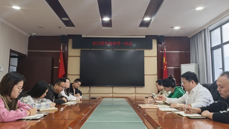 全过程例会