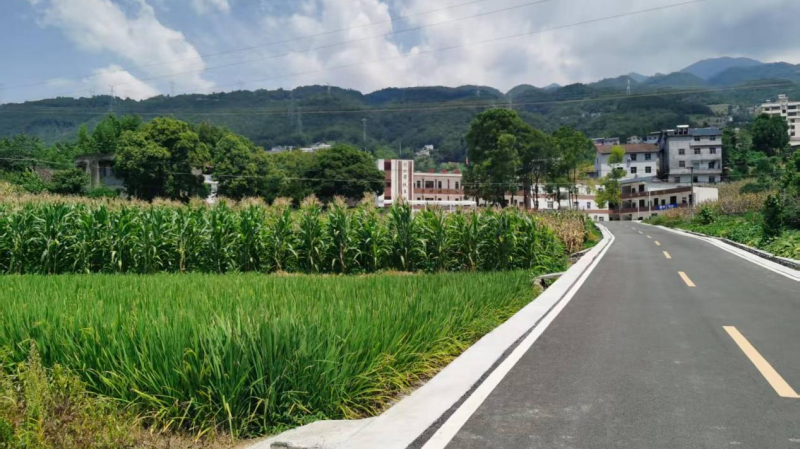 7.31建筑